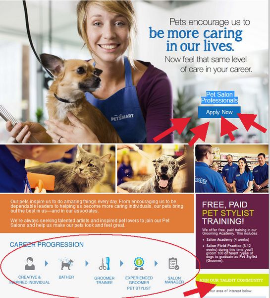 Observe the career progression in the PetSmart department of your choice and click on the Apply Now button to begin your PetSmart Application