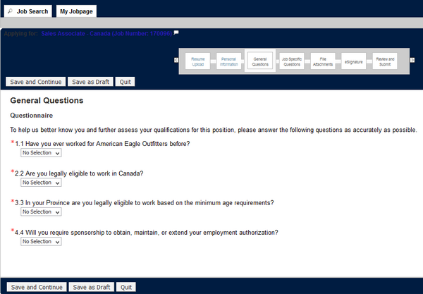 Screenshot of the American Eagle application process