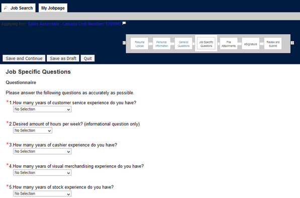 Screenshot of the American Eagle application process