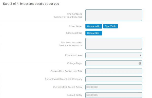Screenshot of the 99 Cent Store Application process