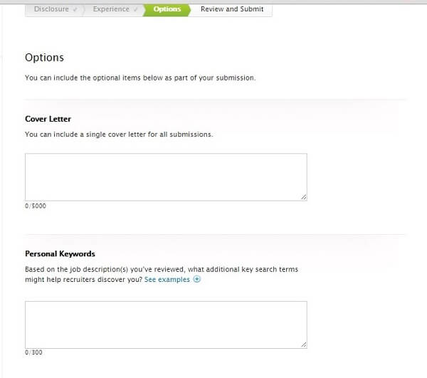Screenshot of the Apple application process