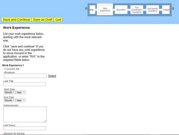 Screenshot of the Work Experience section of the Toys R Us application form