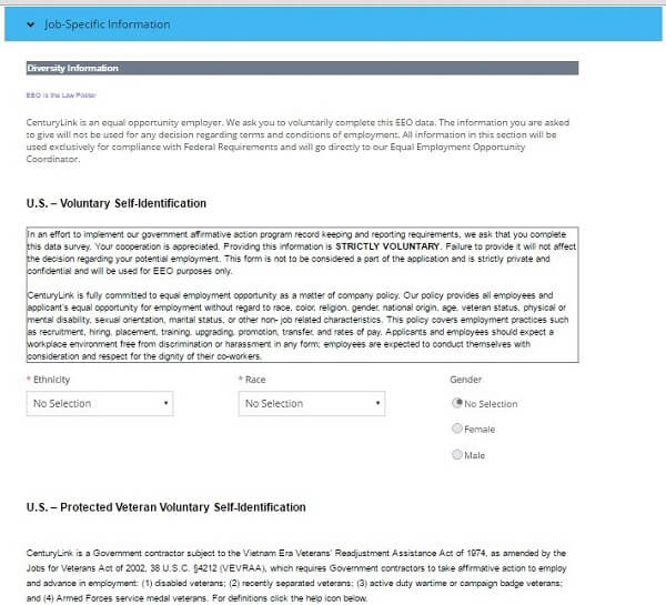 Screenshot of the diversity sections of the CenturyLink application form
