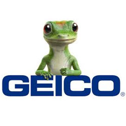 GEICO careers guide - company logo