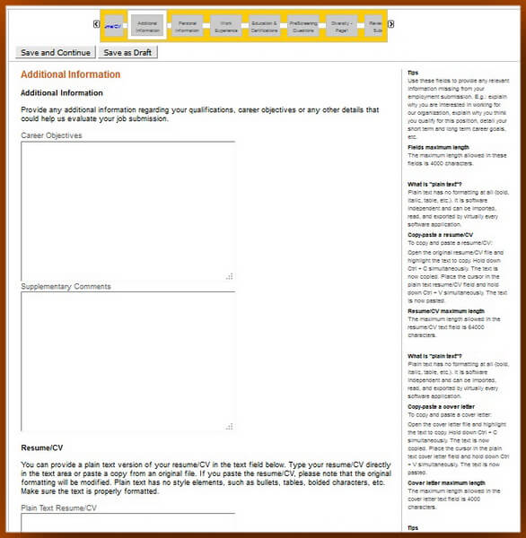 Screenshot of the Additional Information section of the Caterpillar application form